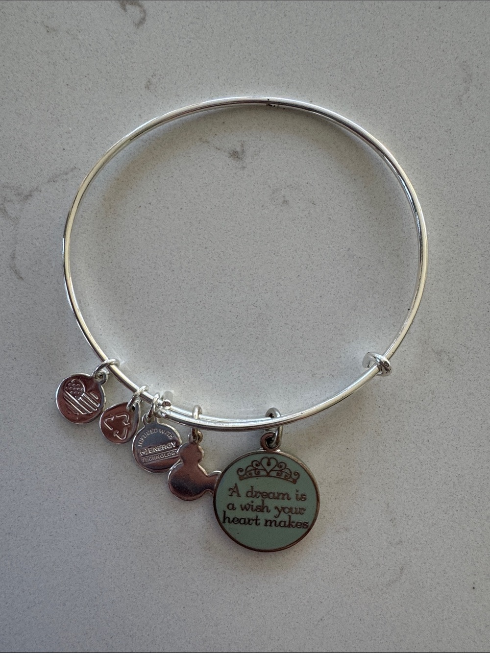 Alex & Ani DisneyParks Silver Charm Bangle Bracelet with Princess quote New ✨